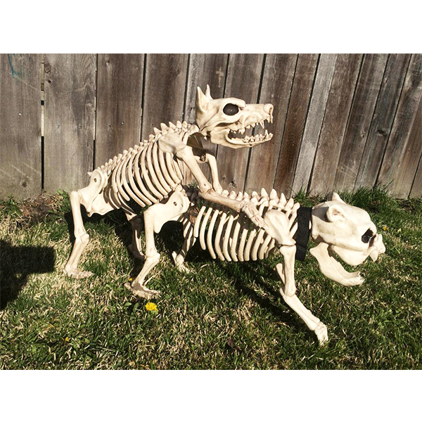 Crazy Bonez Skeleton Dog - Bonez The Dog