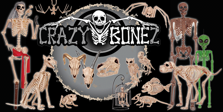 Crazy Bonez Poseable Skeleton Decoration, 36